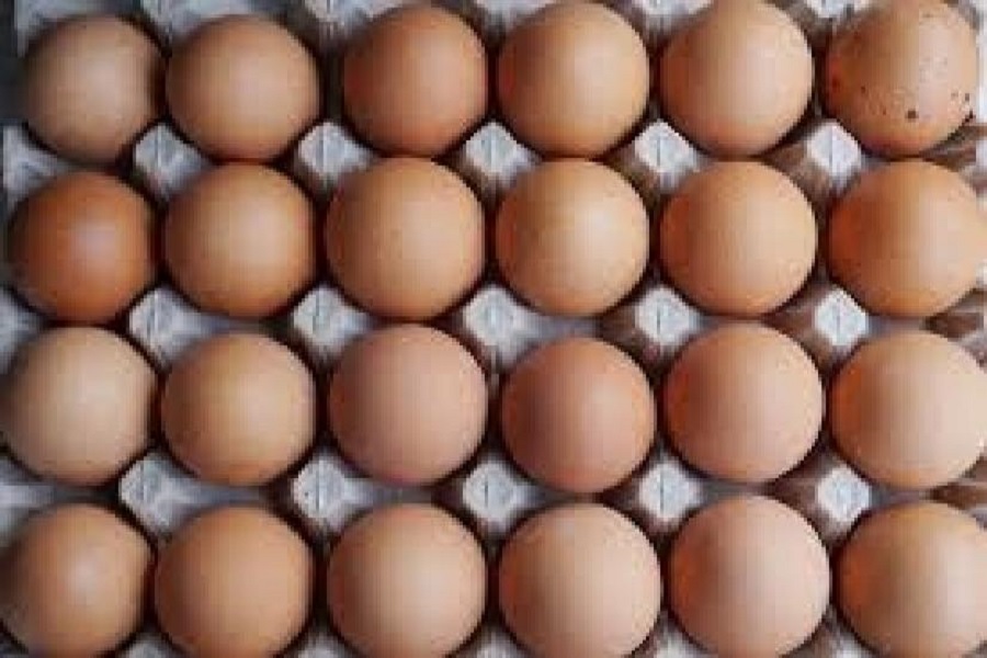 Egg prices soar to record levels in US as bird flu ravages laying flocks