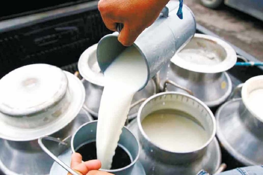 India`s milk production surges 63.6 pc in 10 years, accounts for 25 pc of world output