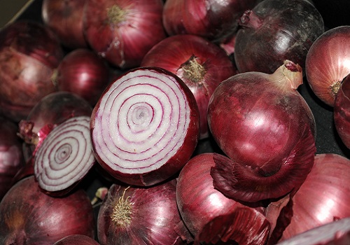Government notifies minimum export price of $800 per metric tonne on onion