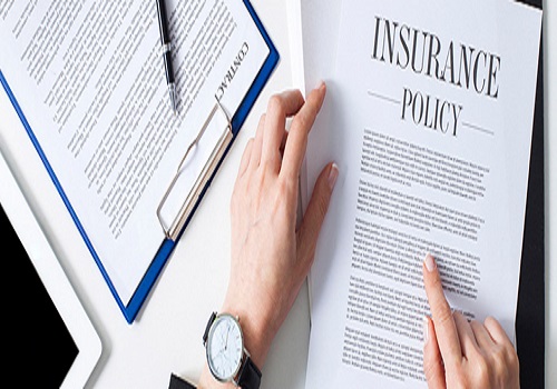 Why is the Premium Low in Term Insurance? Everything You Need to Know About Term Insurance Premium