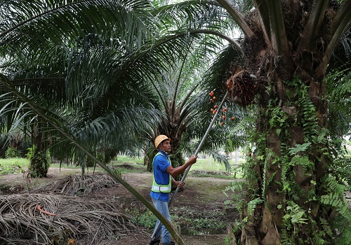 U.S. blocks palm oil imports from Malaysia's Sime Darby over forced labour allegations