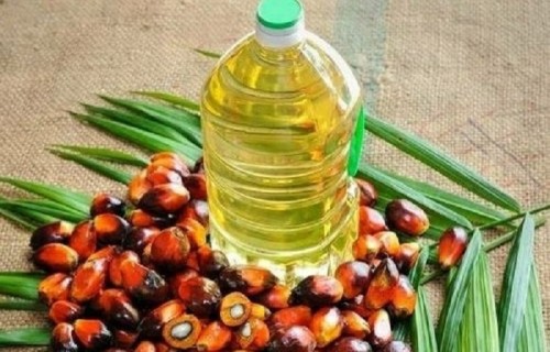 India slashes base import price of crude palm oil by $36 per tonne