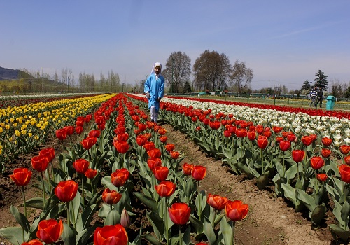Sunshine greets visitors as Srinagar throws open Tulip Garden