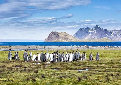 A photo-exhibition on Antartica`s landscape, biodiversity
