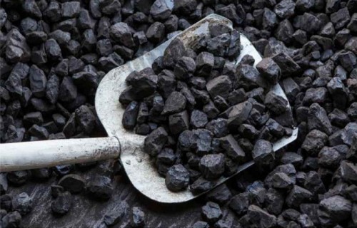 Coal India trades lower despite recording all-time high capex of Rs 13,115 crore in FY21