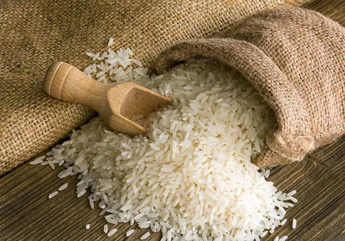 KRBL rises on launching `India Gate Rice Flour`