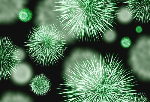 Covid lockdowns reduced bacterial diseases spread: Lancet