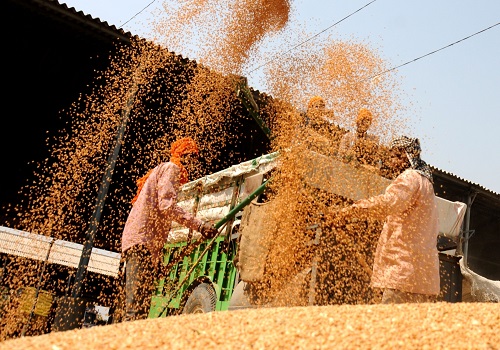 Wheat procurement up 1/3rd over last year: Food Ministry