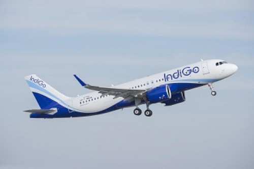 IndiGo trades higher on getting shareholders’ nod to raise Rs 3,000 crore