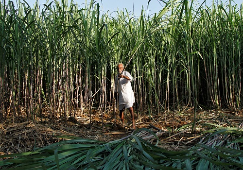 India's ethanol plan could drive a sugar bull market -report