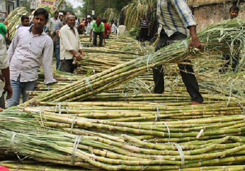 Uttar Pradesh government makes record payment to cane growers