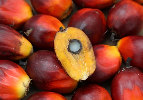 India May palm oil imports nearly doubles, soyoil jumps - trade body