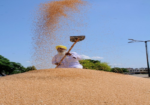 Wheat procurement at all time high, paddy procurement on