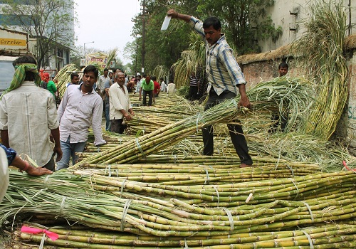 Sugarcane output per hectare rises in UP