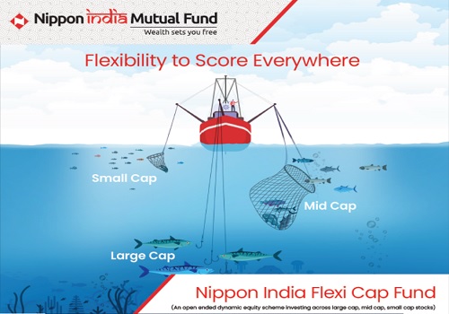 Exciting Flexi Cap Mutual Fund Opportunities
