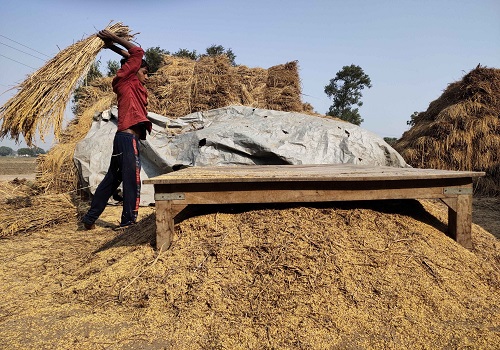 Record 308.65 million tonnes foodgrain production expected this year