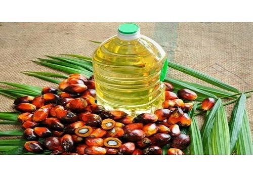 India`s palm oil imports to drop 9% as farmers expand oilseeds area