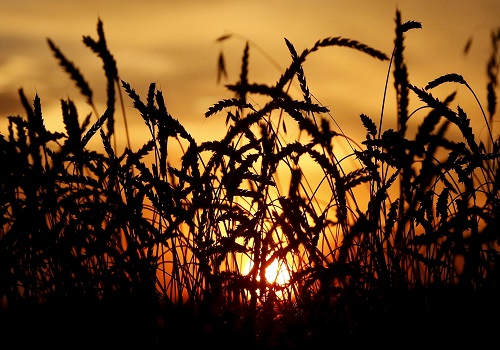 World food prices climb for second month in September -FAO