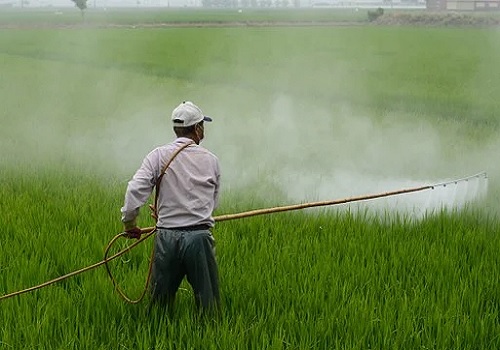 Government's  decision to provide special package for extra subsidy on DAP fertiliser to benefit farmers, industry: ICRA