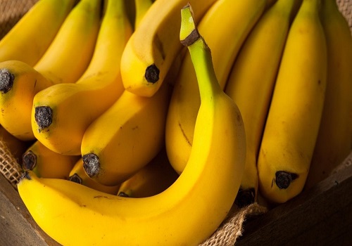 UP bananas being exported to Iran