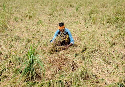 'Steps taken for reduction in paddy straw generation yielding positive results'