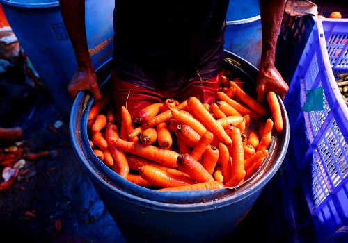 Exclusive-India's price-fixing probe of global seed firms sparked by carrot farmers