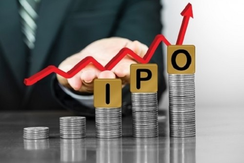 2021 record year for global IPO market: Media