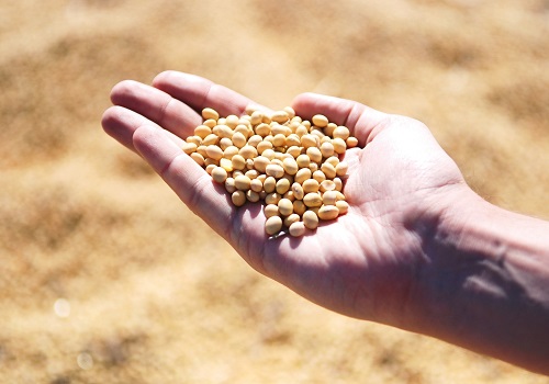 Government imposes stocks limit on soya meal
