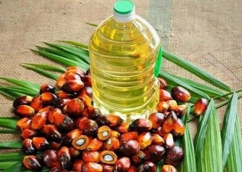 India extends 'free' import policy for different palm oils