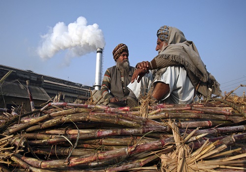 Indian sugar exports slow as global prices correct, rupee firms
