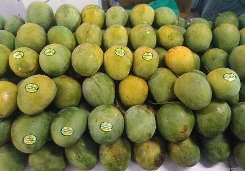 'Banarasi' mangoes in London, Dubai