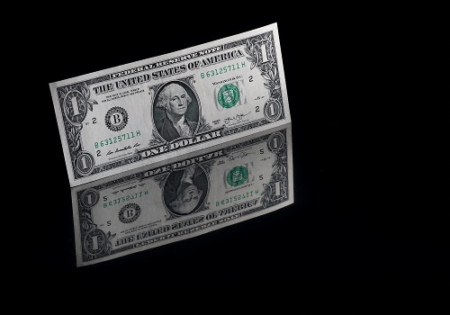 Rate hike bets keep U.S. dollar bid