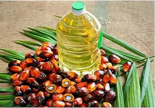 Agri cess for crude palm oil reduced to keep price rise in check