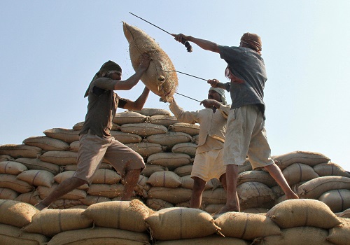India's basmati rice exports hit 4-yr low as Iran trims buying