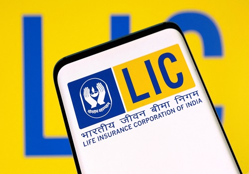 LIC's looming IPO weighs on India insurer shares, investors say
