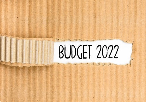 Budget specifies customs duty change on several items