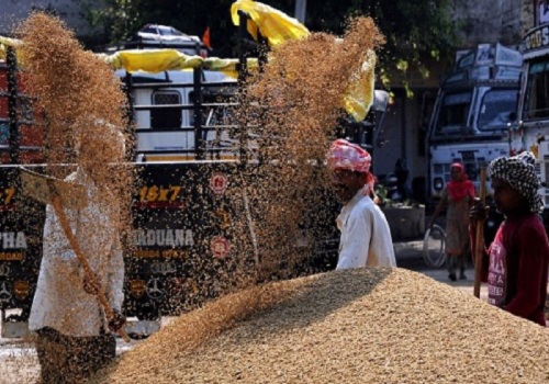 Domestic wheat prices hit fresh high on export demand
