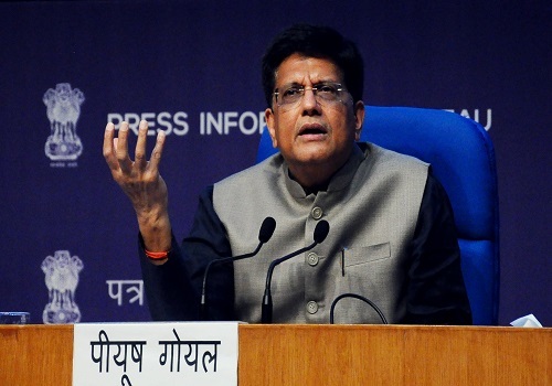 Businesses of India, UAE should look at taking bilateral trade to $250 billion by 2030: Piyush Goyal