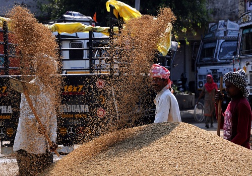 725.93 LMT paddy procured till March 6: Government