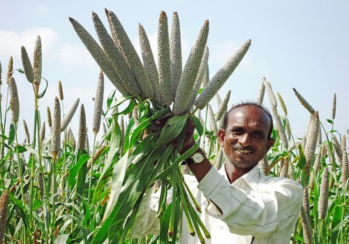 Tamil Nadu to form millet special zones