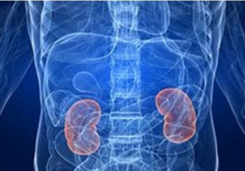 How Covid directly infects, causes damage to human kidney cells