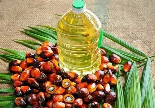 Indonesia's export ban for palm oil may have cascade effect on India's edible oil prices