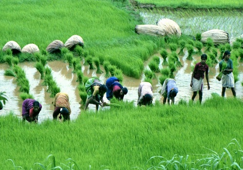 Over 5.5 lakh farmers mobilised under central scheme for FPOs: Government