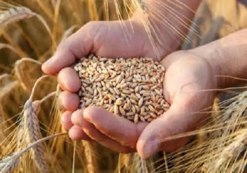 Wheat export ban to reign in domestic inflation, no threat to food security: Government