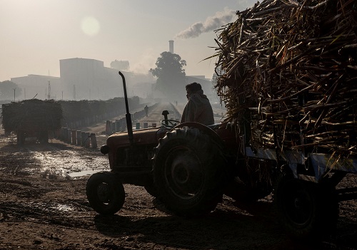 India could restrict sugar exports to 10 million T 