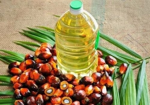 No shortage of palm oil due to Indonesia's export ban: Government