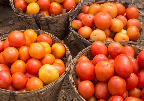 Tomato prices shooting through the roof in Bengaluru
