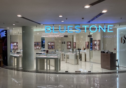 Ratan Tata-backed BlueStone launches four new stores in Delhi NCR