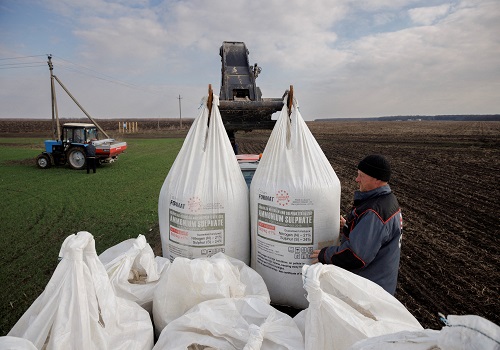 Fertiliser costs could prolong global food tensions - FAO