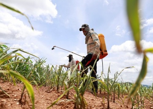 India to provide $55 mn LOC to Sri Lanka for procuring fertiliser